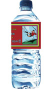personalized soccer water label