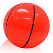 inflatable basketball