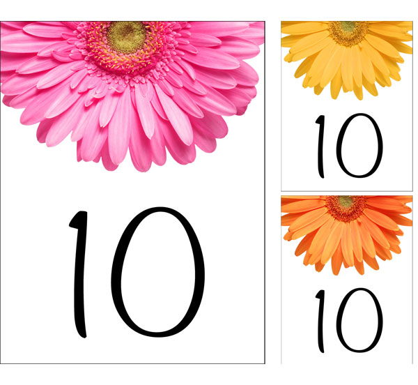 Daisy Theme Table Number
