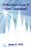 winter wonderland sign in board