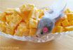 Add a mouse to your cheese at a kitten party