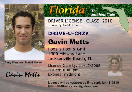 florida drivers license record check